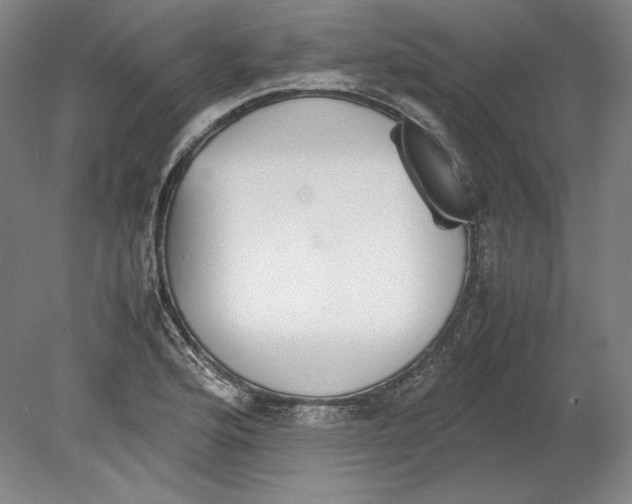 X0000080161176200701051557