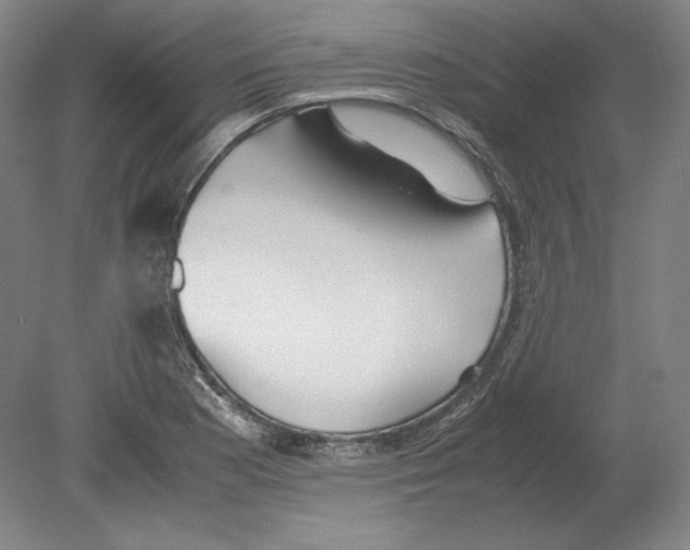 X0000080161177200701051557