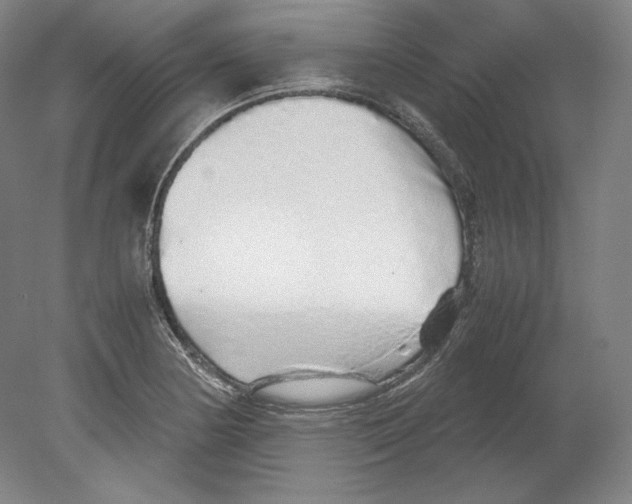 X0000080161178200701051557