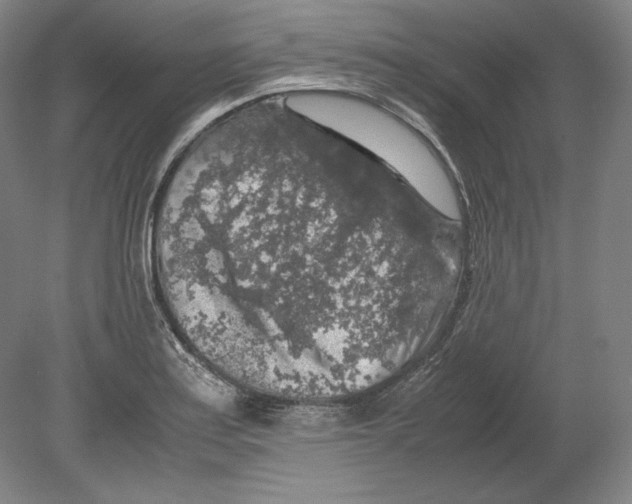 X0000080161179200701051557