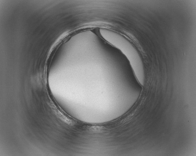 X0000080161180200701051557