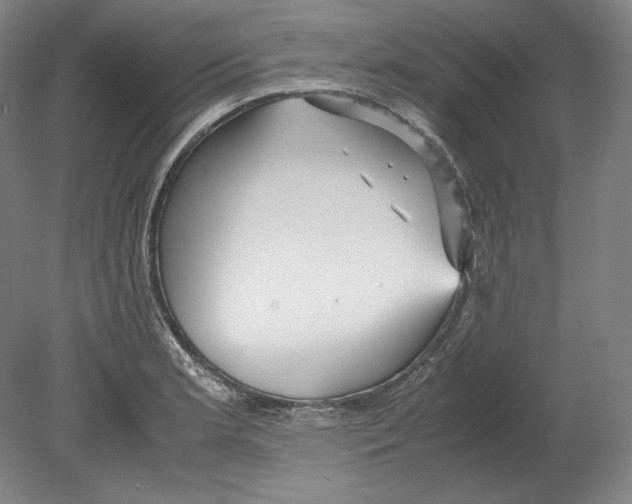 X0000080161181200701051557