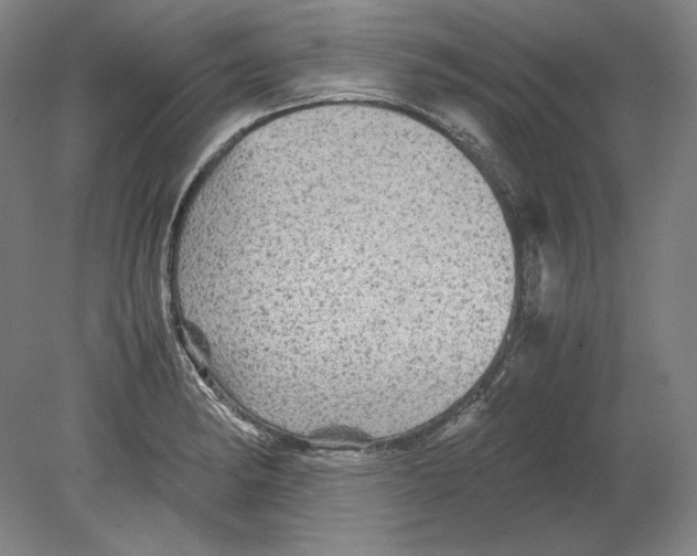 X0000080161182200701051557