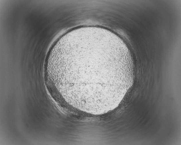 X0000080161183200701051557