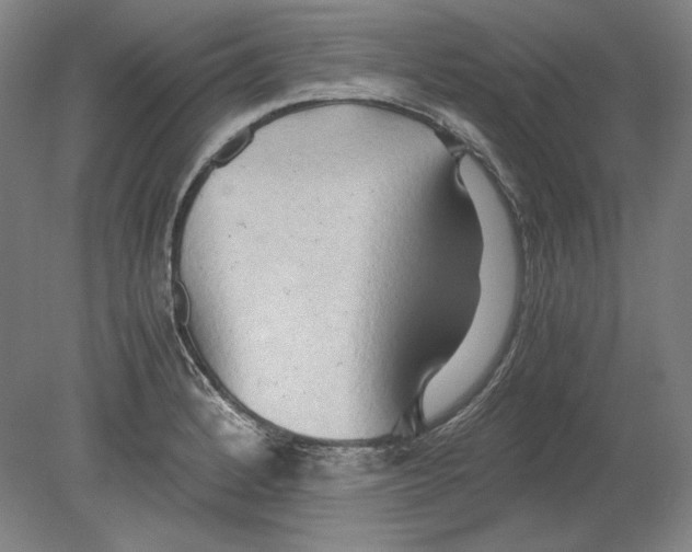 X0000080161184200701051557