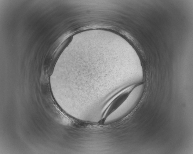 X0000080161185200701051557