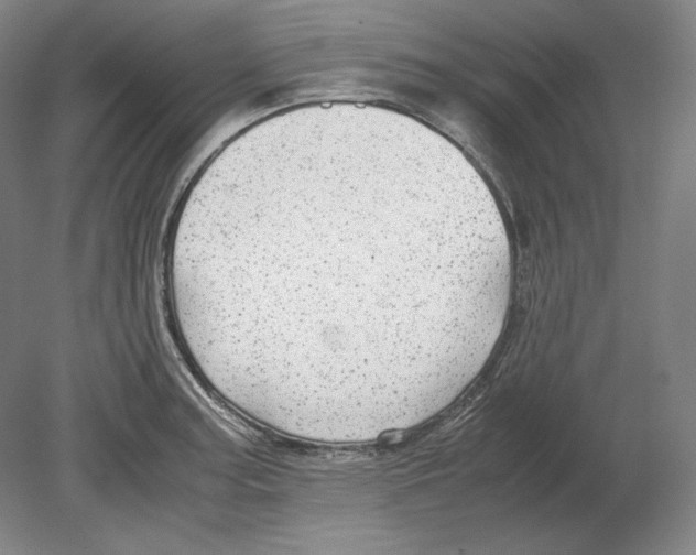 X0000080161187200701051557