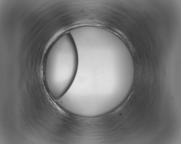 X0000080161188200701051557