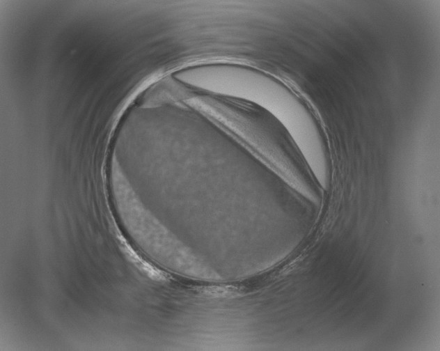 X0000080161189200701051557