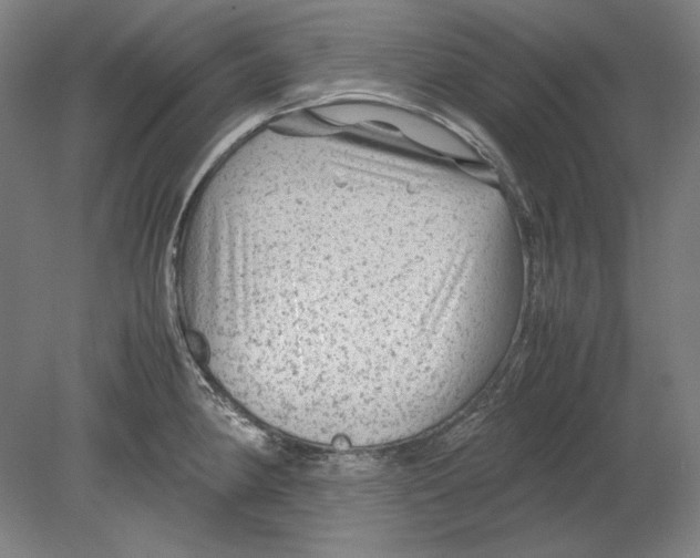 X0000080161190200701051557