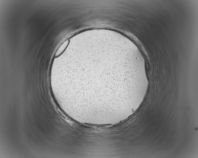 X0000080161191200701051557