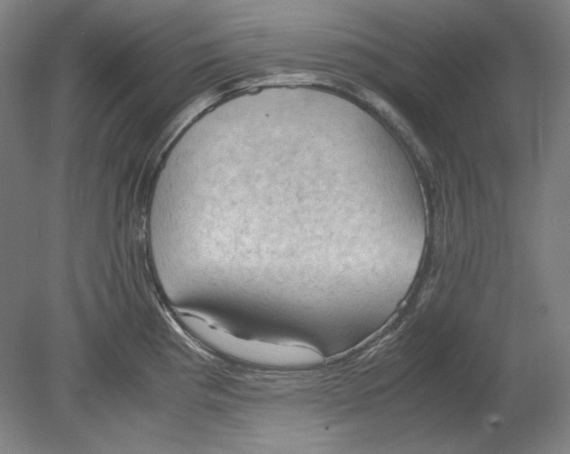 X0000080161193200701051557