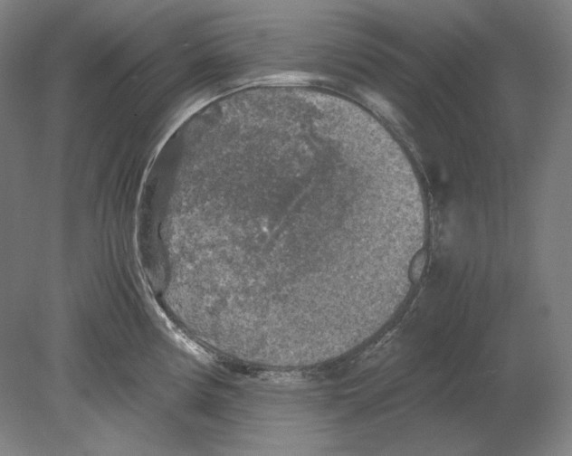 X0000080161194200701051557