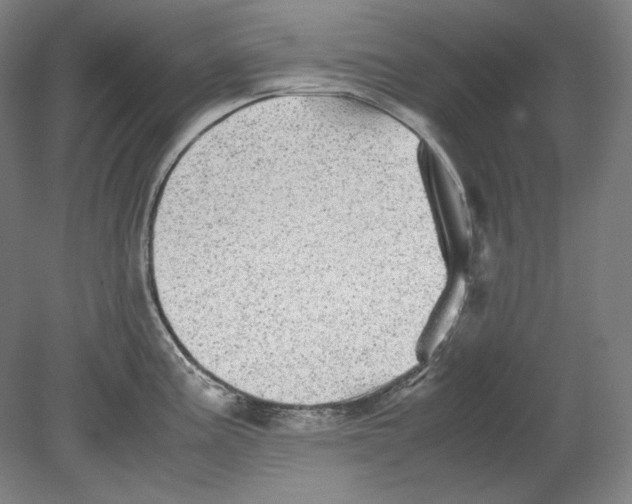 X0000080161195200701051557