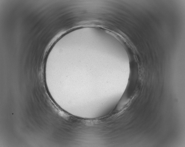 X0000080161196200701051557