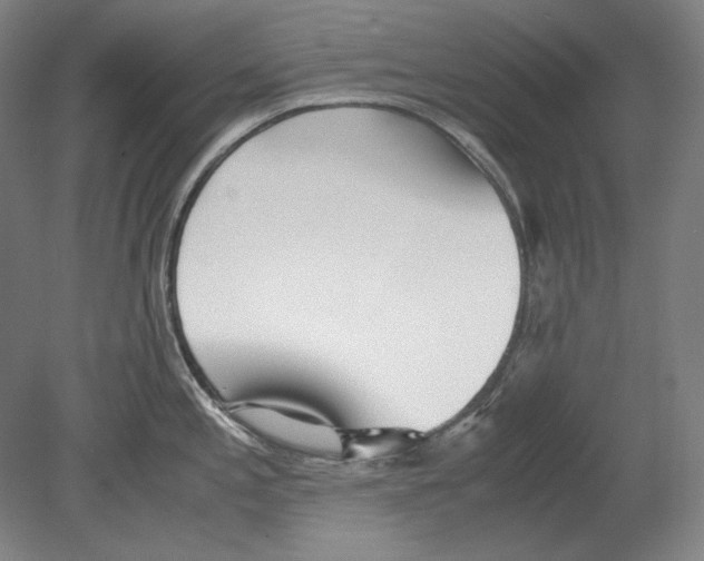 X0000080161197200701051557