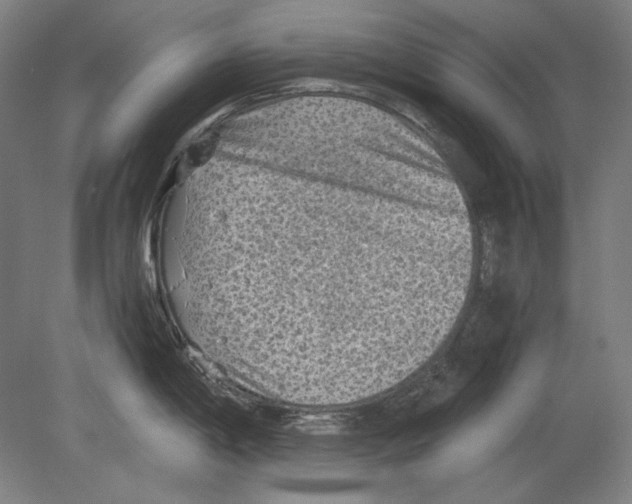 X0000080161198200701051557