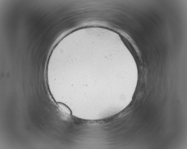 X0000080161199200701051557