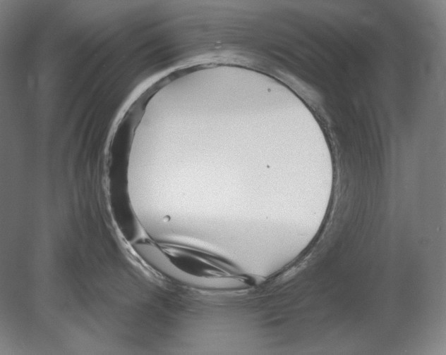 X0000080161200200701051557