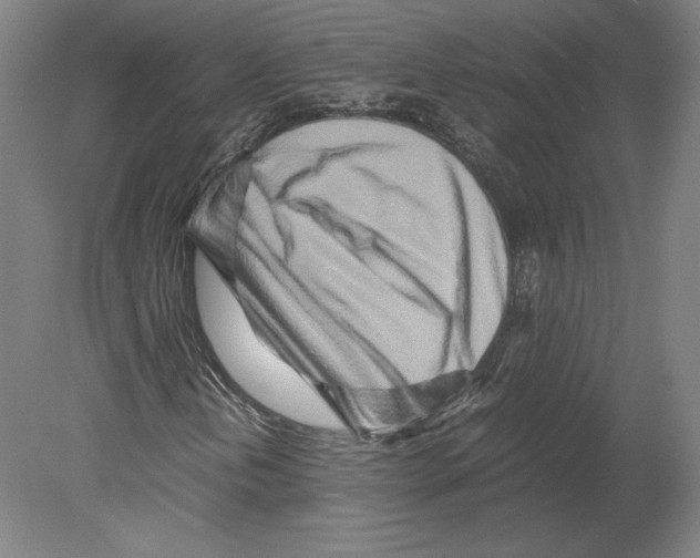 X0000080161202200701051556