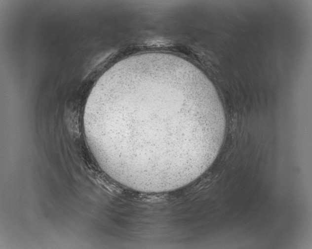 X0000080161205200701051556