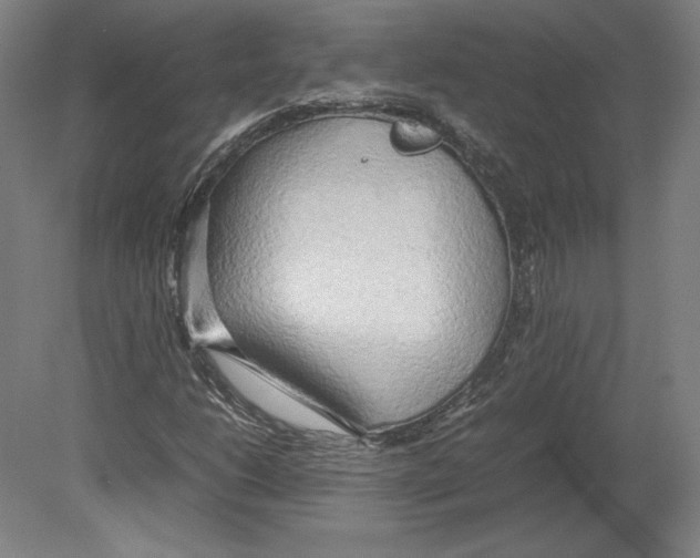 X0000080161206200701051556