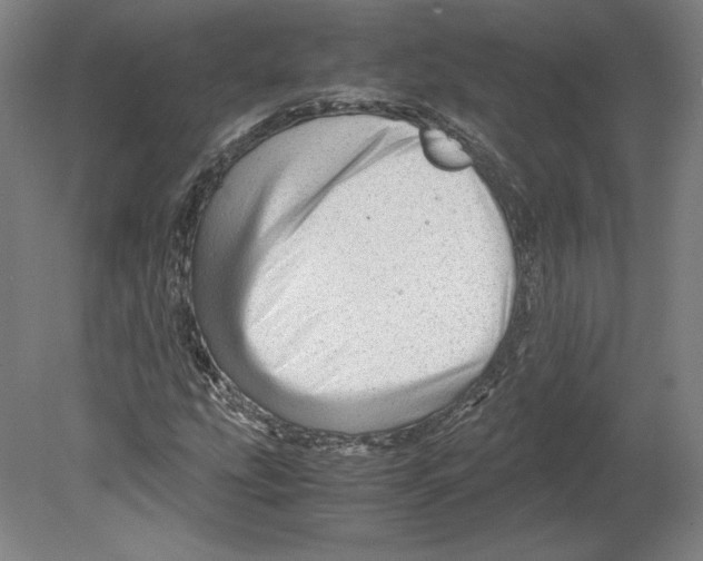 X0000080161207200701051556