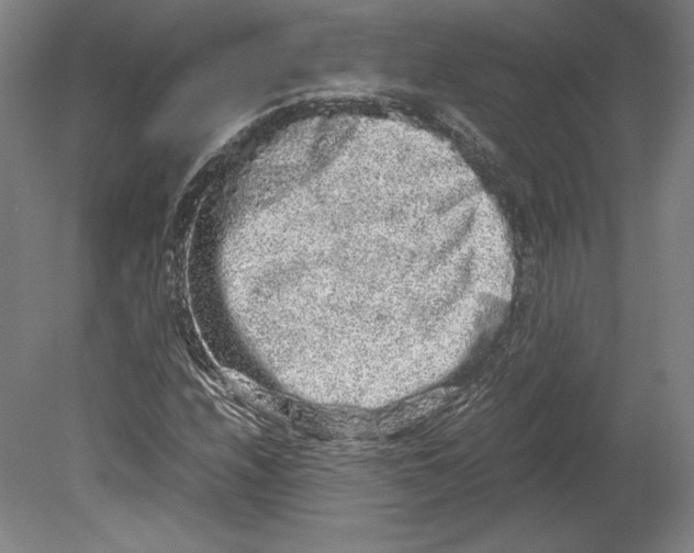 X0000080161208200701051556