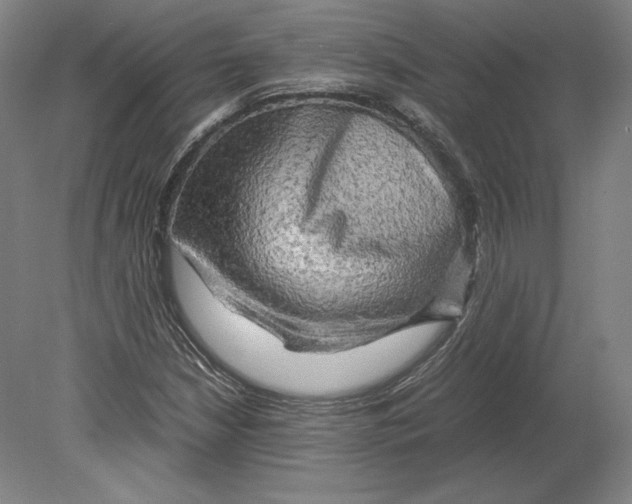 X0000080161210200701051556