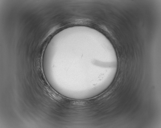 X0000080161211200701051556