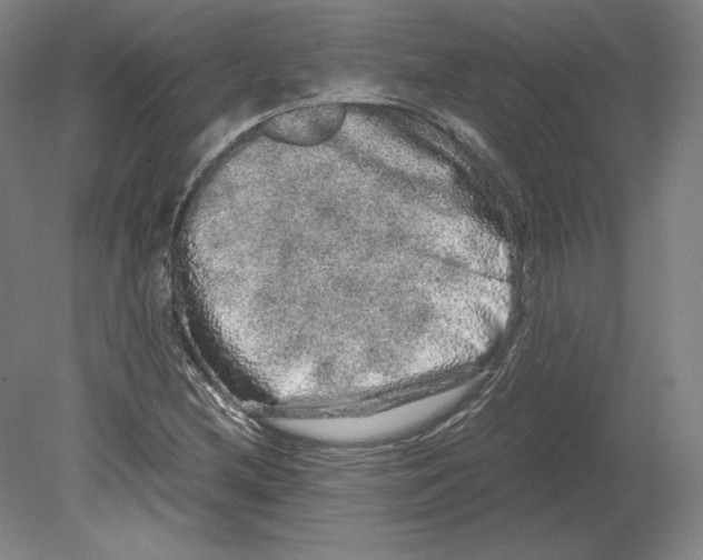 X0000080161212200701051556