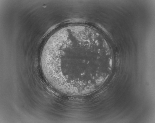 X0000080161213200701051556