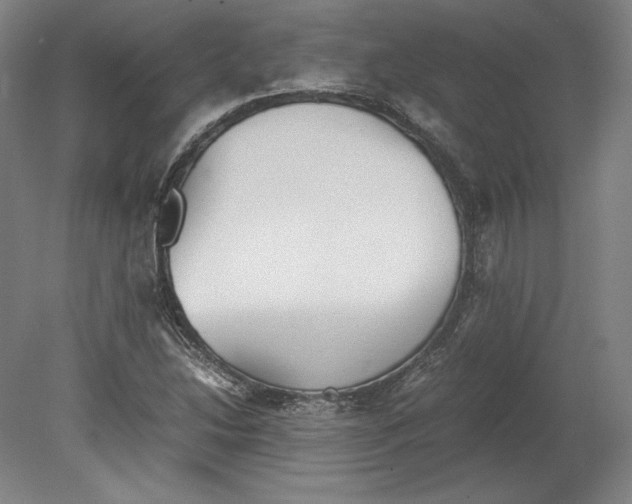 X0000080161214200701051556