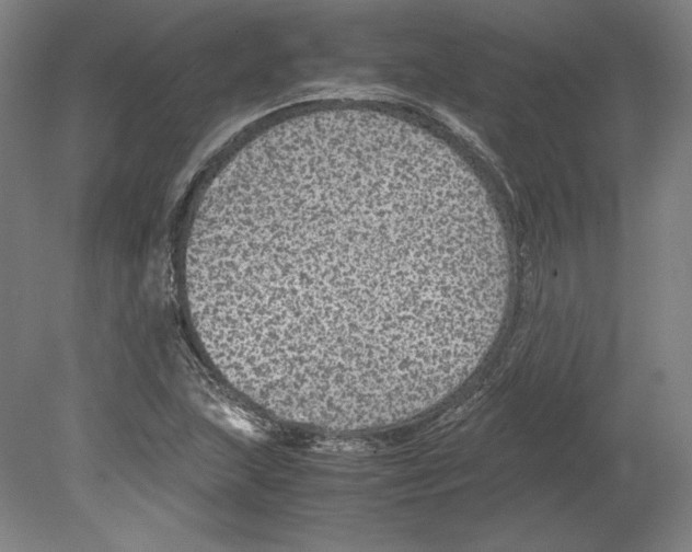 X0000080161215200701051556