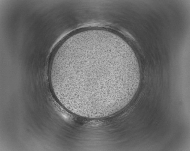 X0000080161216200701051556