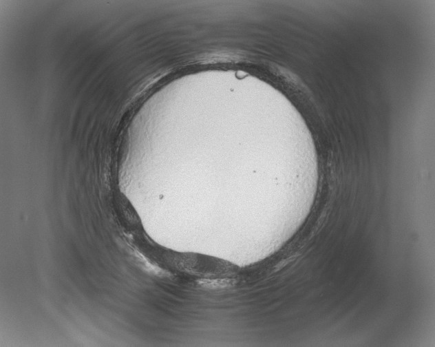 X0000080161217200701051556