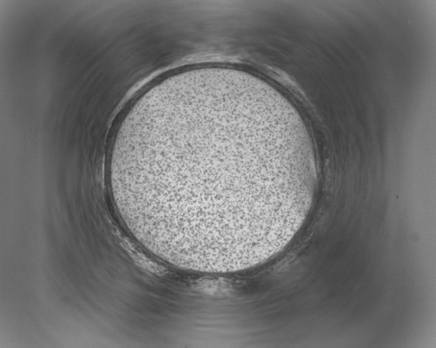 X0000080161220200701051556