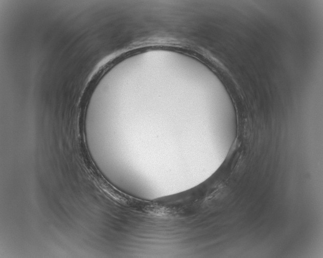 X0000080161222200701051557