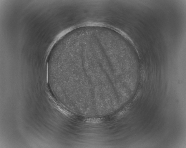 X0000080161223200701051557