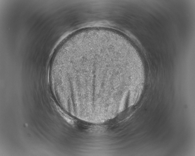 X0000080161224200701051557