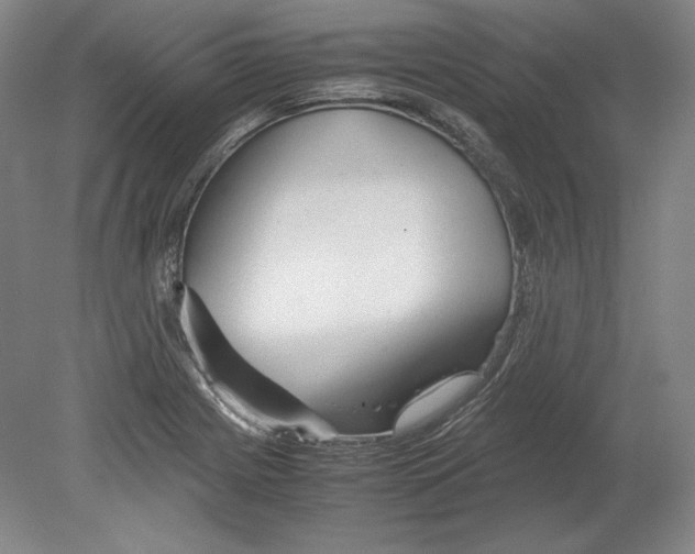 X0000080161225200701051557