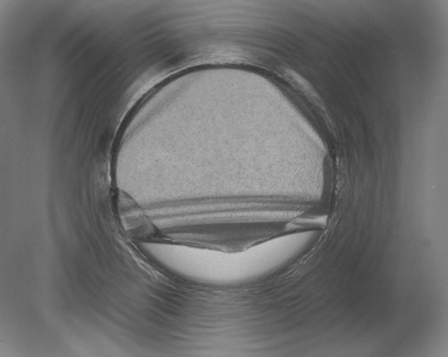 X0000080161226200701051557