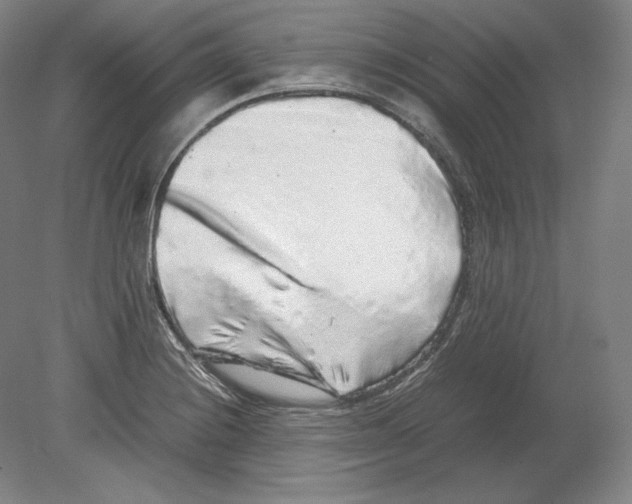 X0000080161228200701051557