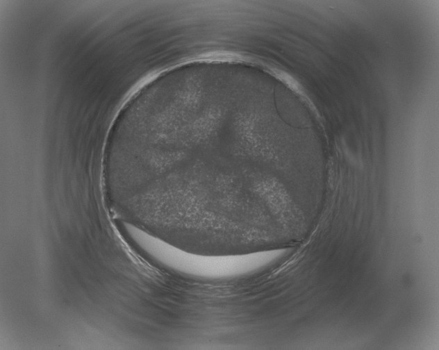 X0000080161229200701051557