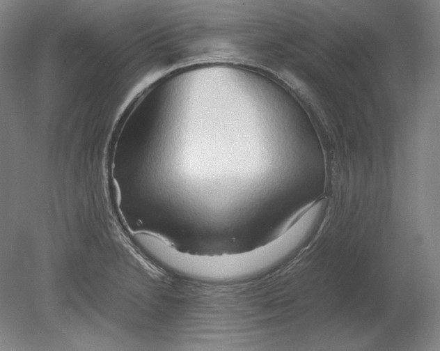 X0000080161230200701051557