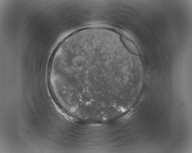 X0000080161231200701051557