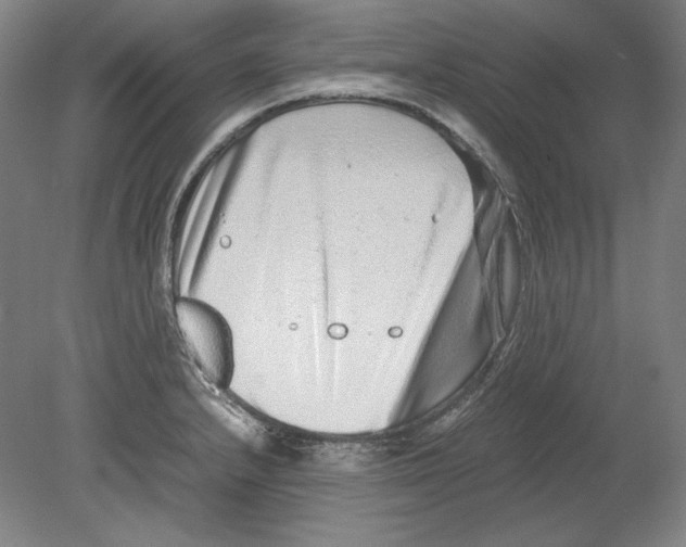 X0000080161232200701051557