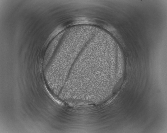 X0000080161233200701051557