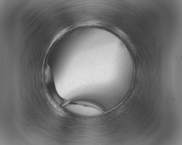 X0000080161234200701051557