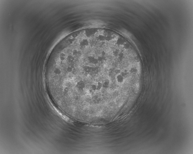 X0000080161235200701051557